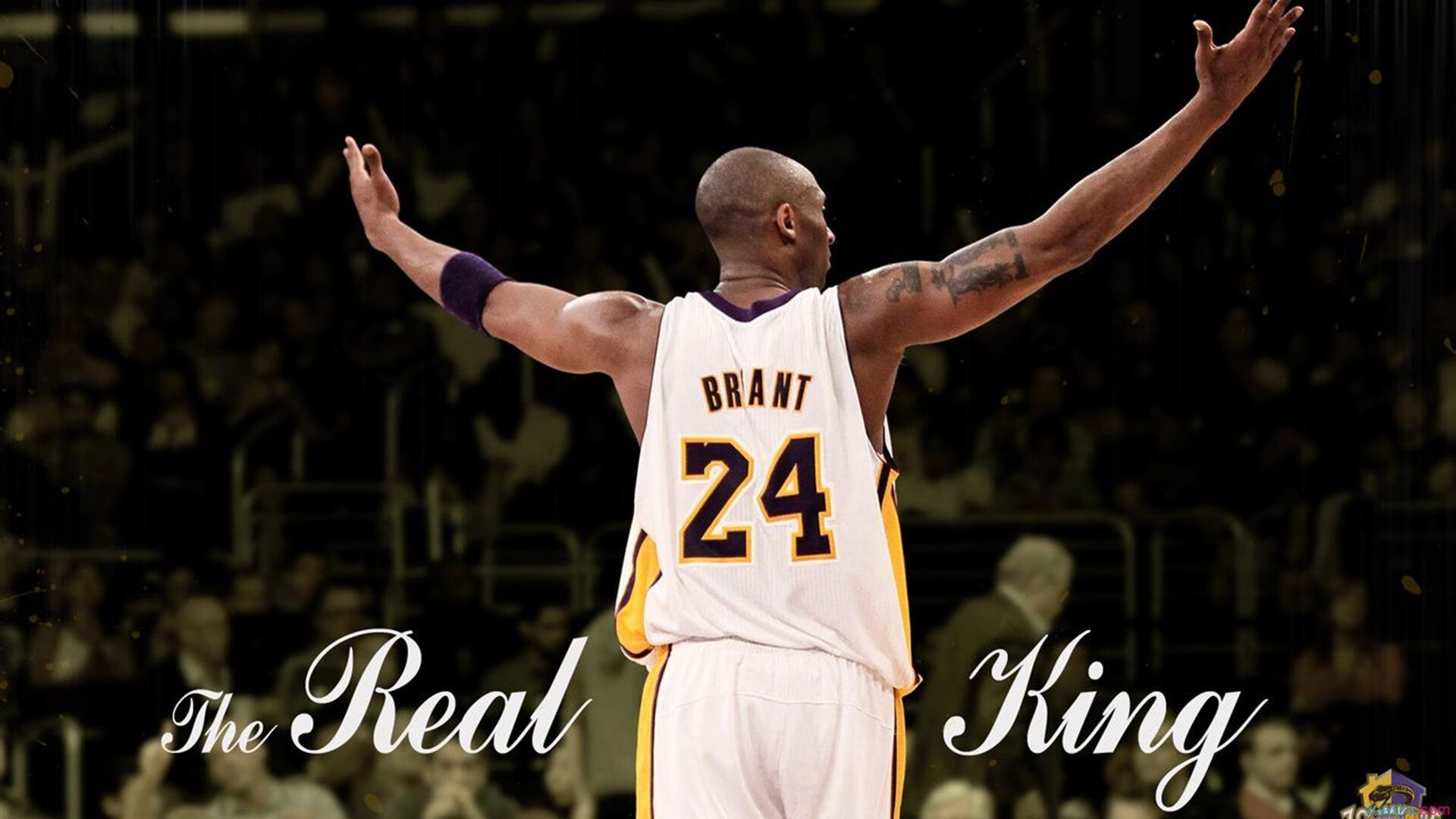 开云集团中国官网-外教流动频率导致青训体系断裂，外教流动频率导致青训体系断裂的原因  第1张