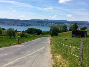 开云中国-“缆绳滑水：东桃花岛赛场呈现全新水上运动魅力”  第1张